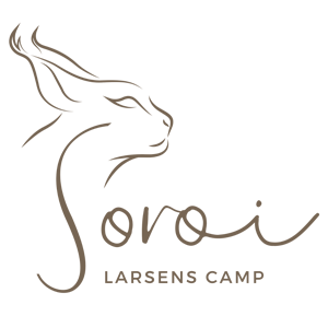 Logo Soroi Larsens Camp